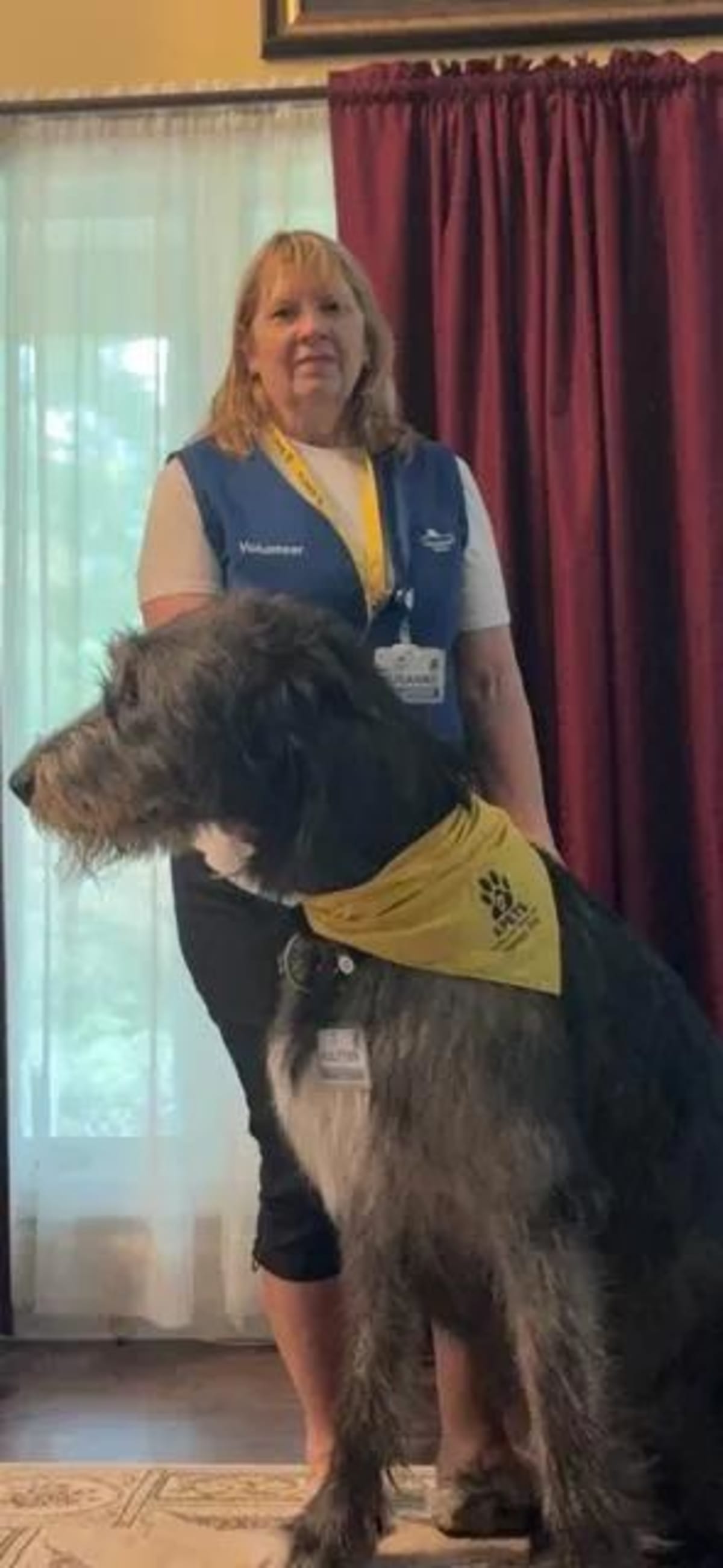 Therapy Dogs Bring Joy to WellSpan Hospital Patients - Image 4