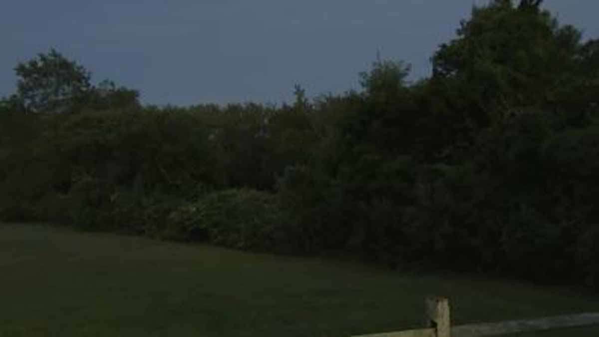 Firefighter on aerial ladder rescuing people from tall tree in Massachusetts
