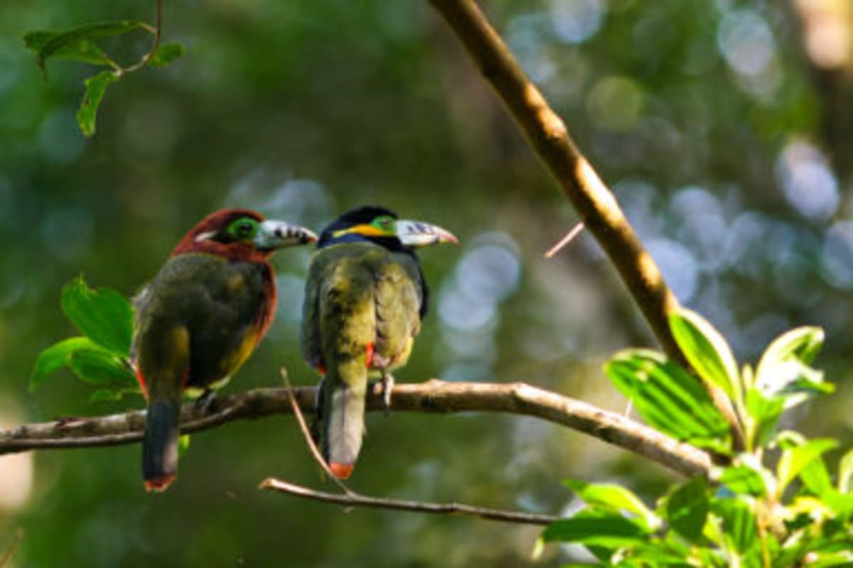 Norway's $1.6T Fund Makes First US Renewable Energy Buy - Image 4