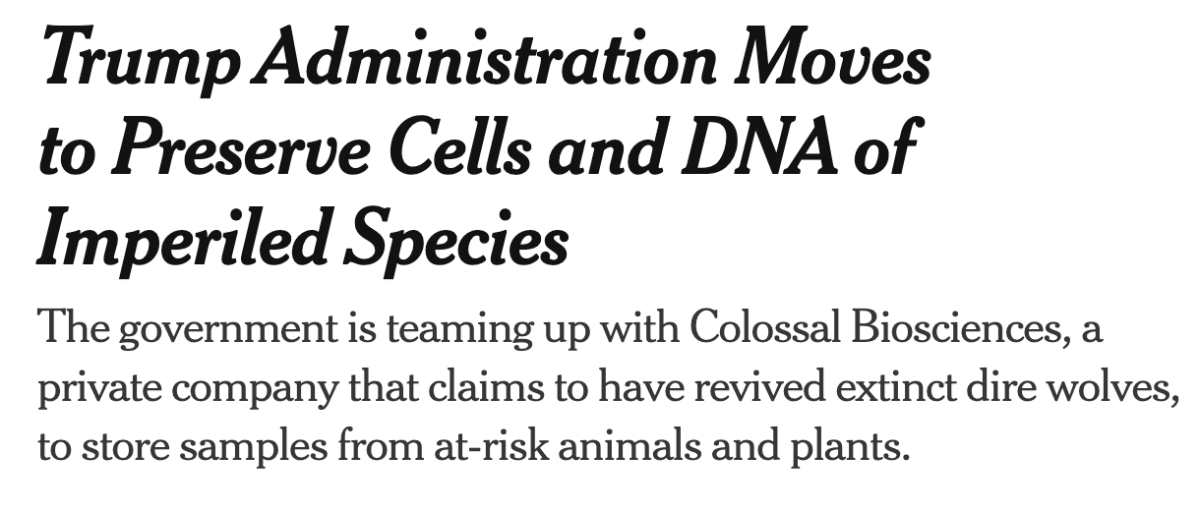 San Diego Zoo Clones Endangered Ferrets From Frozen Cells