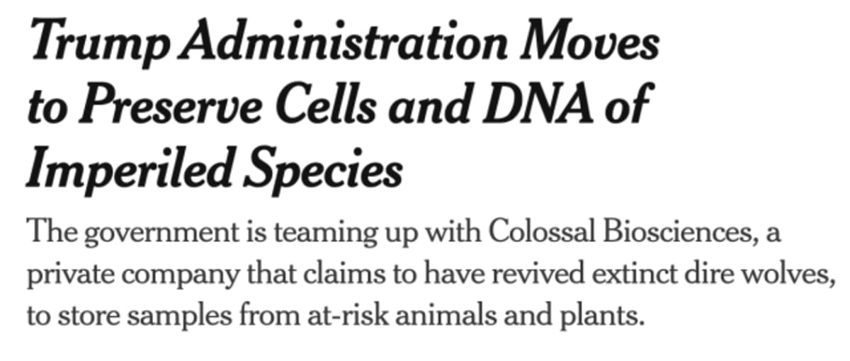 San Diego Zoo Clones Endangered Ferrets From Frozen Cells - Image 2