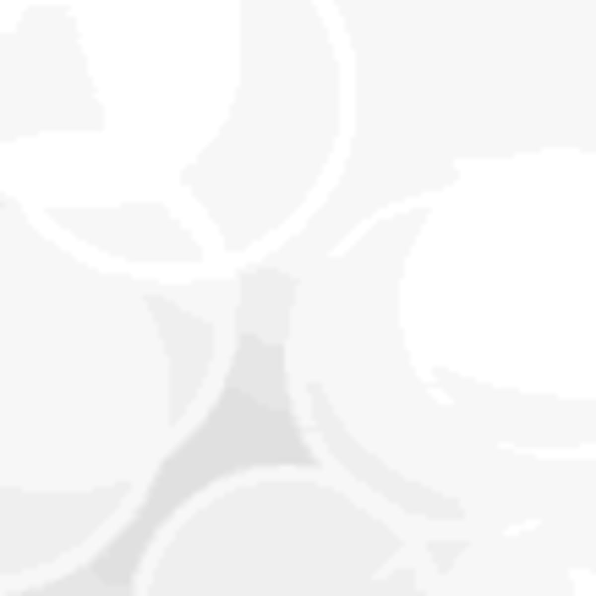 Michigan Unlocks $51M for EV Chargers Statewide - Image 3