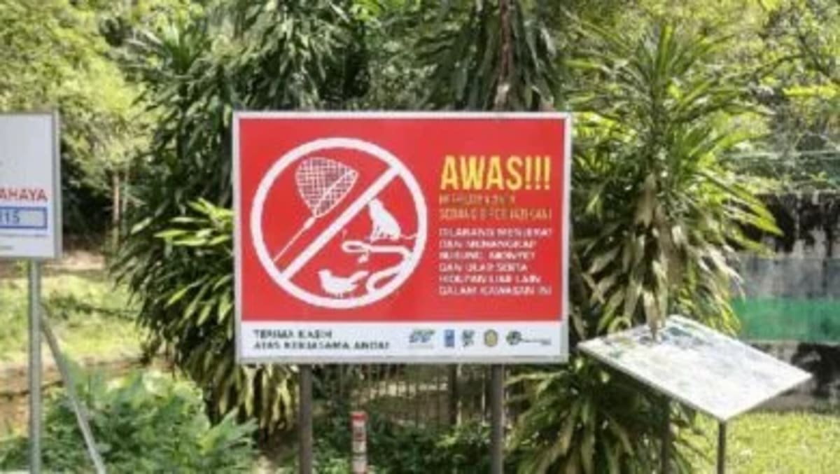 Malaysia and Uzbekistan Team Up on Smart Farming Tech - Image 2