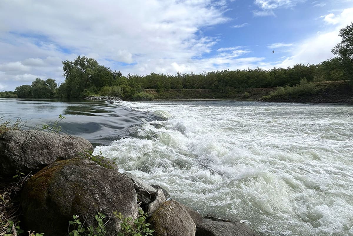 California Invests $80M in Salmon Habitat and Wildlife