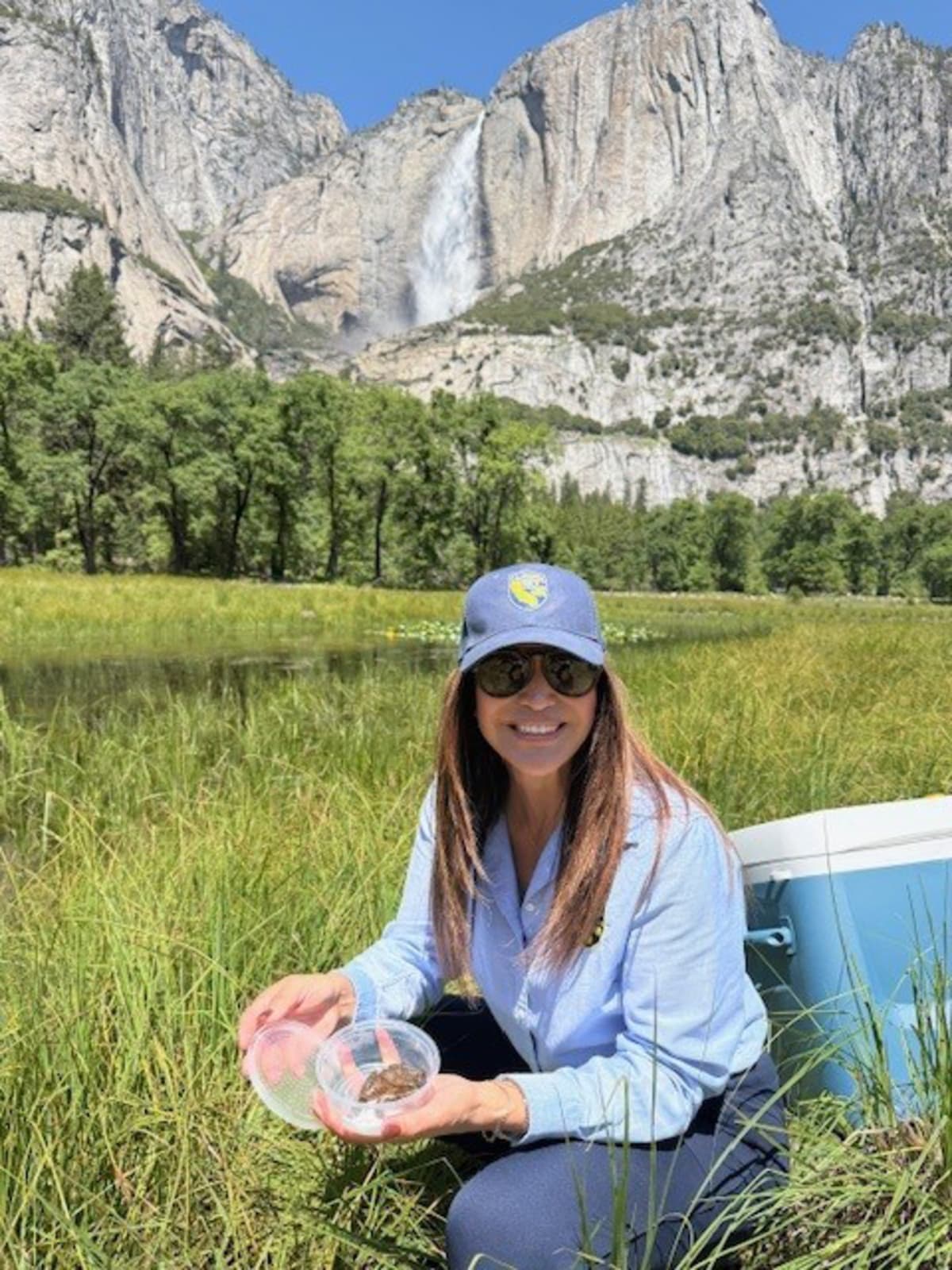 Yosemite Celebrates 10,000 Red-Legged Frogs Released