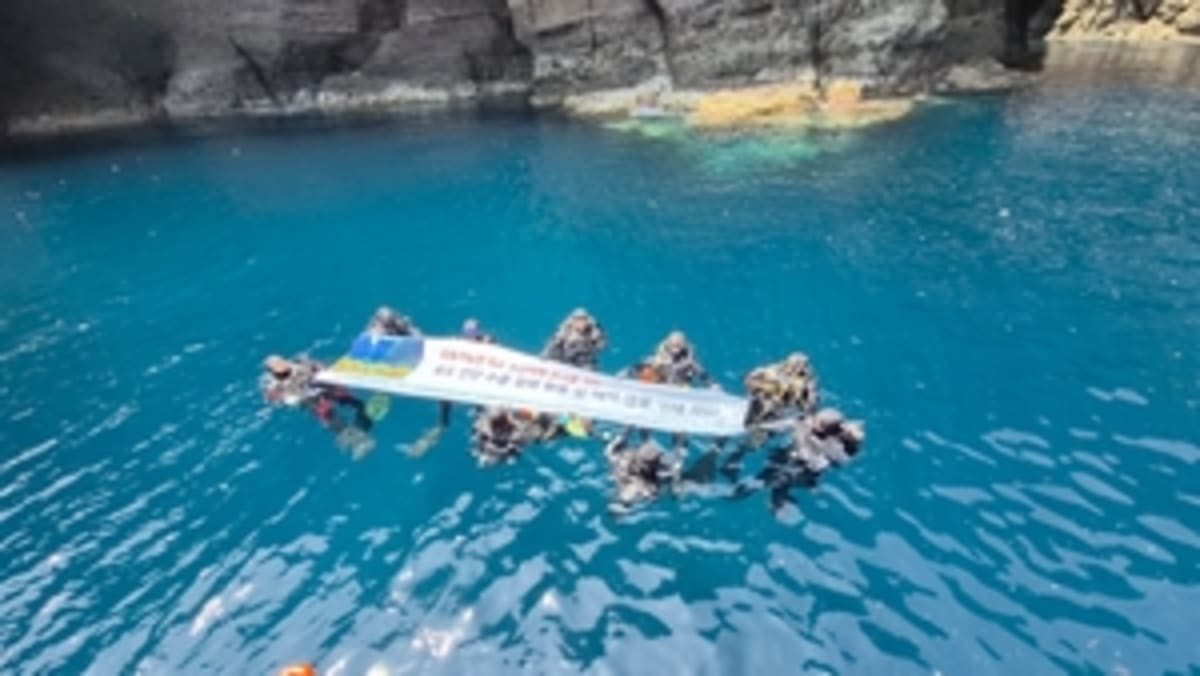 Posco employee volunteers in diving gear conducting ocean cleanup on remote Korean island coastline