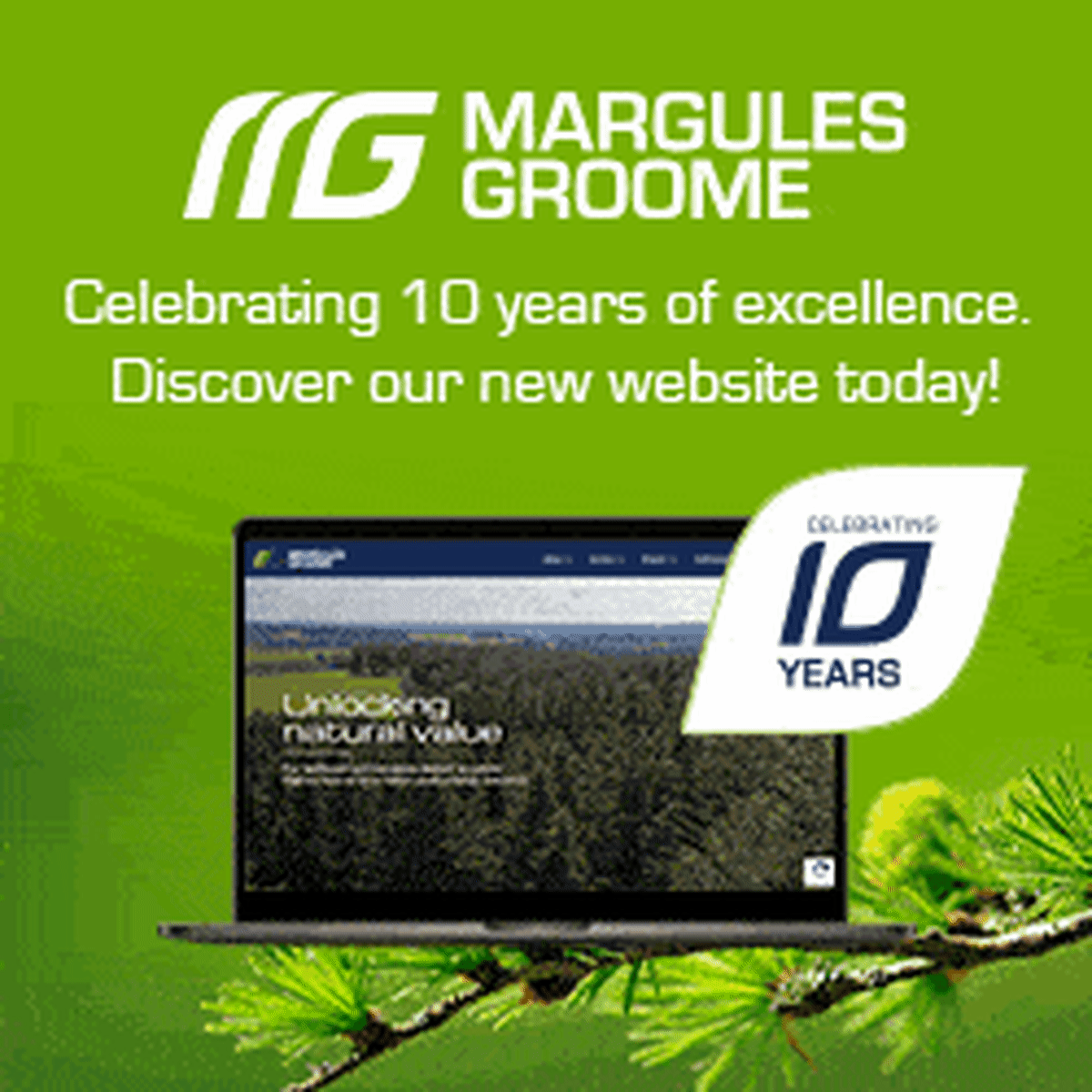 Ukraine and Germany Partner on Green Timber Innovation - Image 4