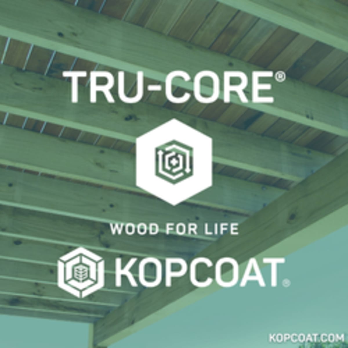 Ukraine and Germany Partner on Green Timber Innovation - Image 3