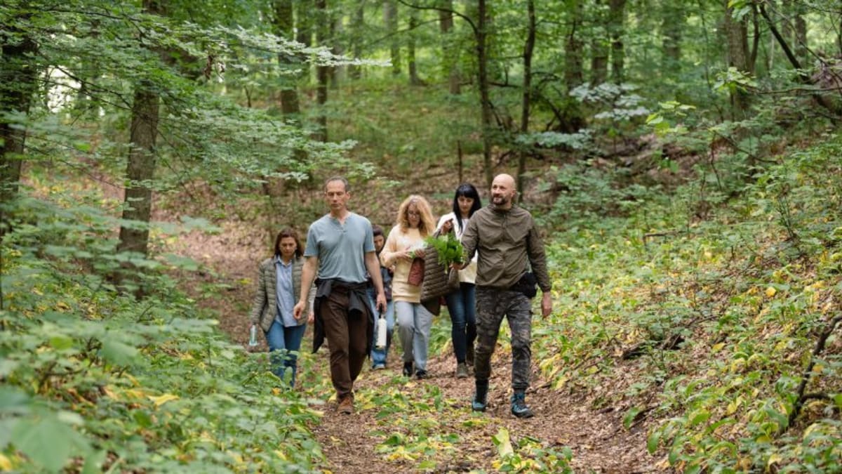 Moldova's Forest Festival Brings €25K to Rural Villages - Image 3