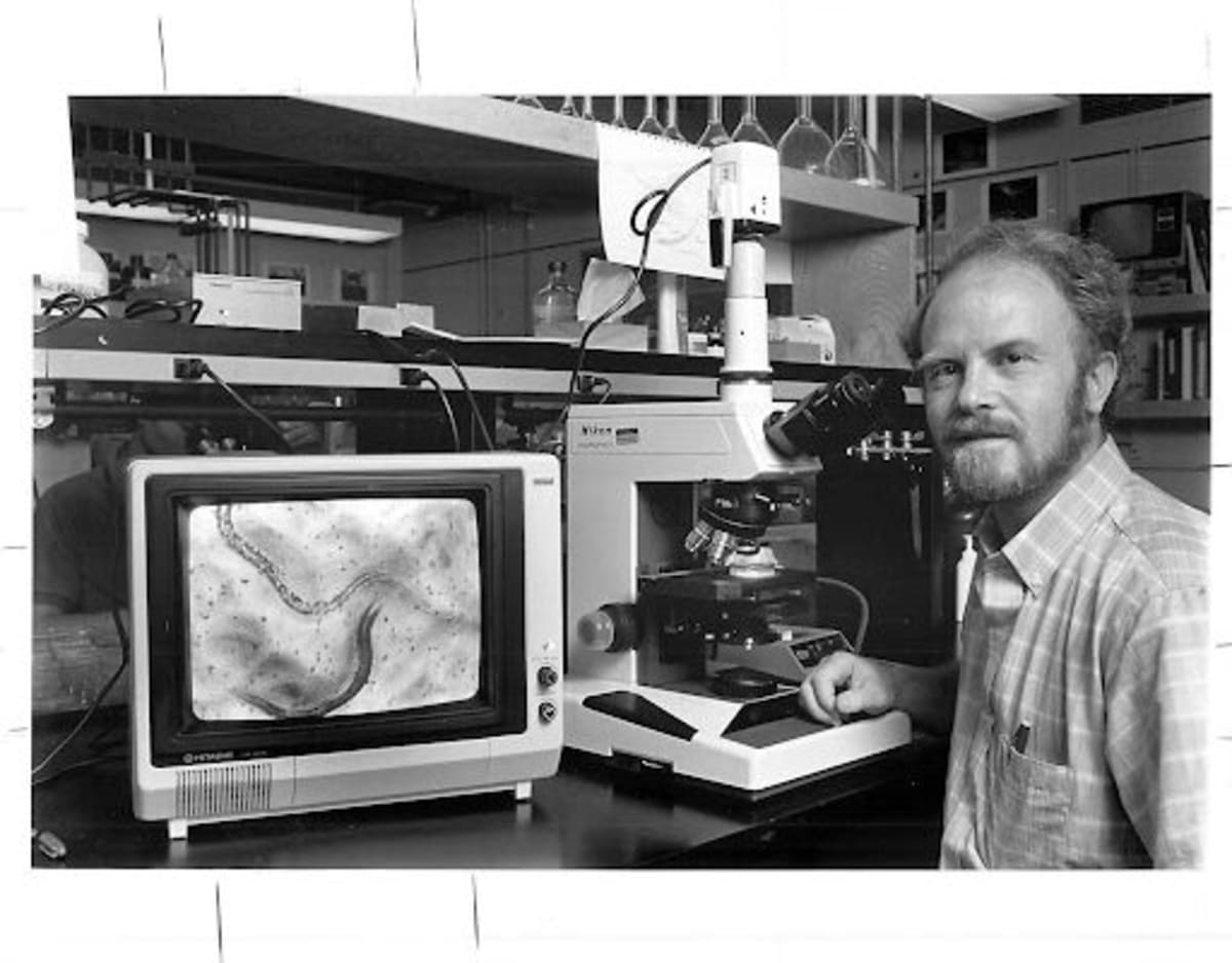 Colorado Scientist Proved Genes Control Aging, Opening New Era - Image 2