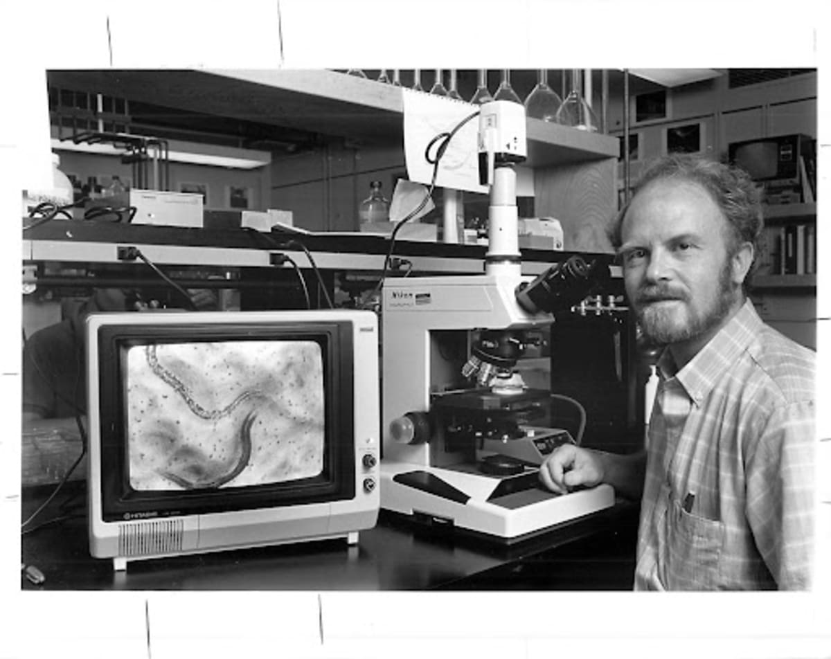 Tom Johnson in laboratory examining research on roundworms that led to aging breakthrough