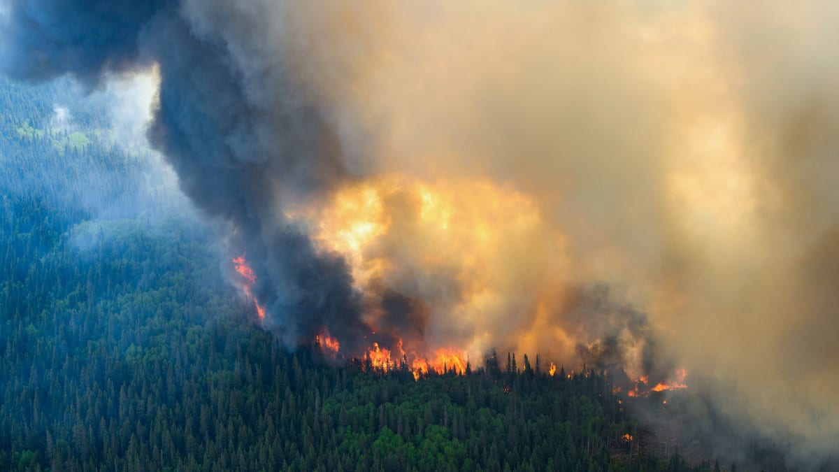 Startup Raises $5.7M to Stop Lightning-Sparked Wildfires - Image 2