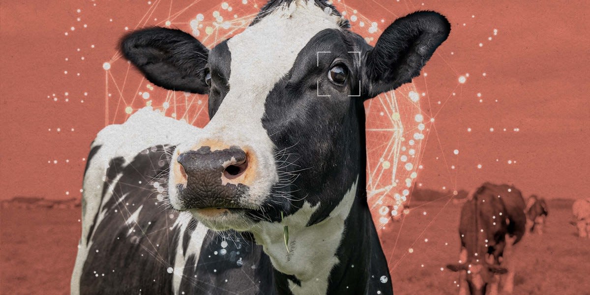 Bay Area Advocates Train AI to Protect Animal Welfare