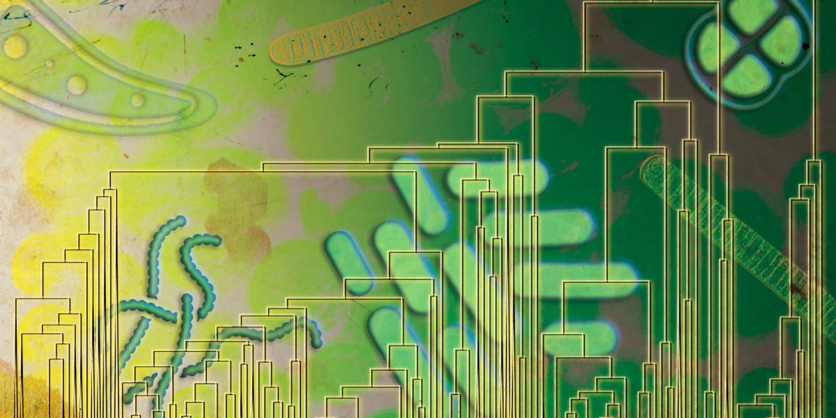 Scientific illustration showing primitive microorganisms on early Earth surrounded by oxygen molecules