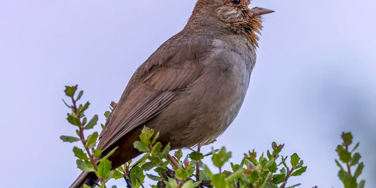 LA's New Subway Conquers Geology to Reach the Ocean
