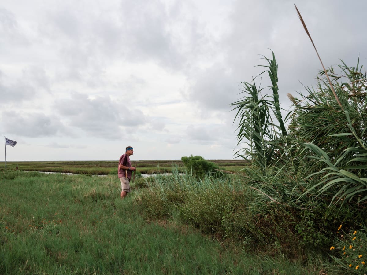 Scientists Clone Red Wolves to Save America's Rarest Wolf - Image 3