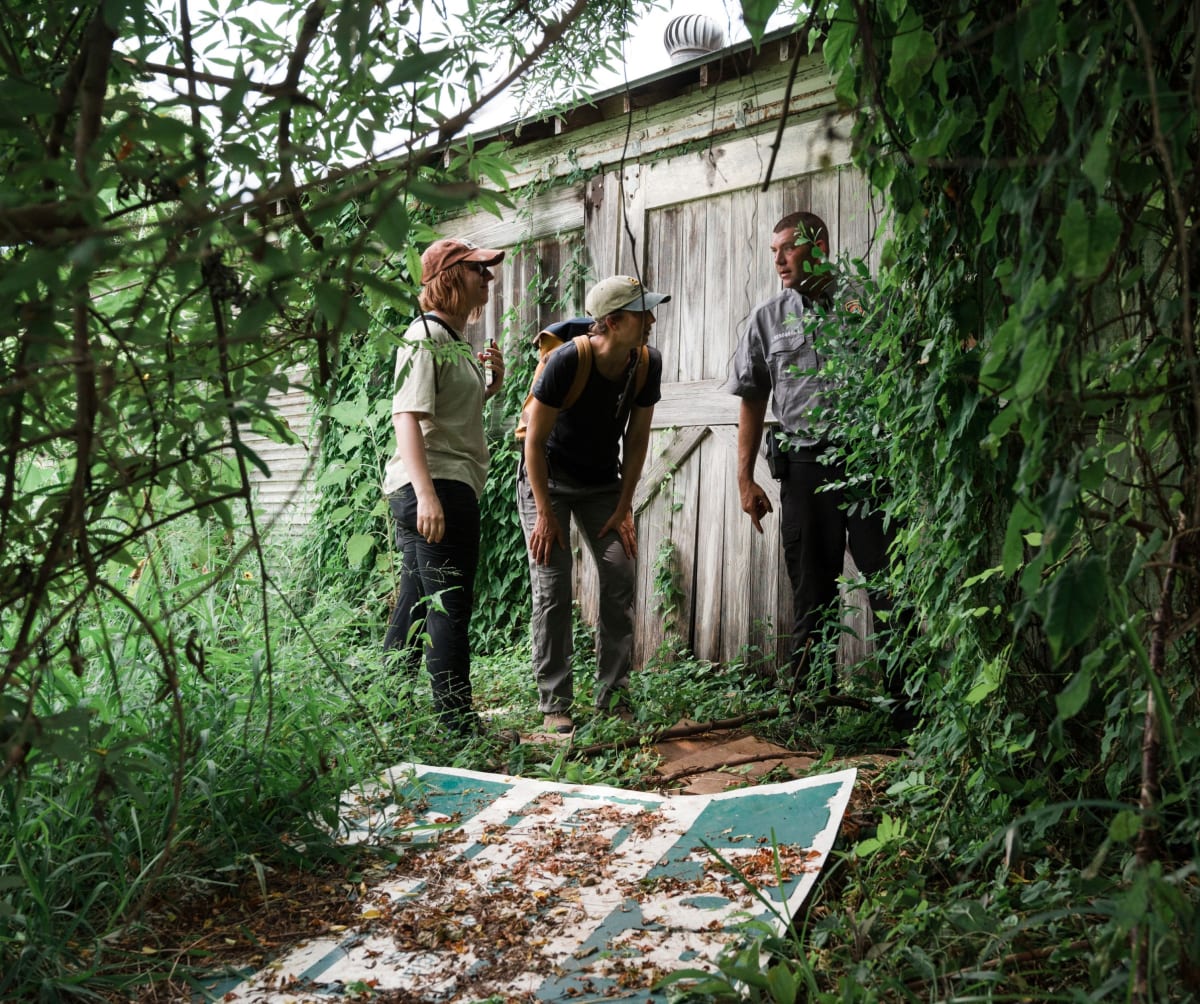 Scientists Clone Red Wolves to Save America's Rarest Wolf - Image 4