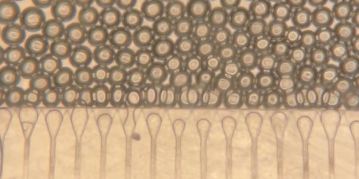 MIT Scientists Create Injectable "Mini Livers" for Patients