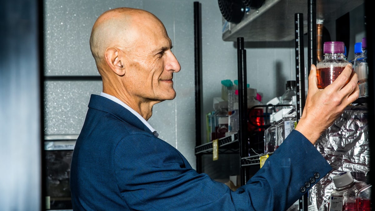 Scientists Race to Reprogram Aging Cells Back to Youth - Image 2