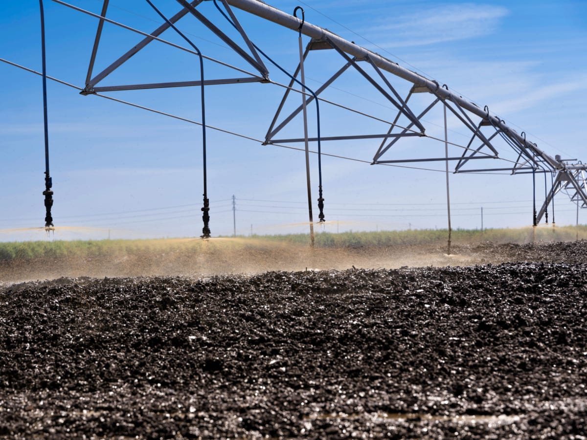 California Dairy Farms Use Worms to Cut Methane by 40% - Image 3