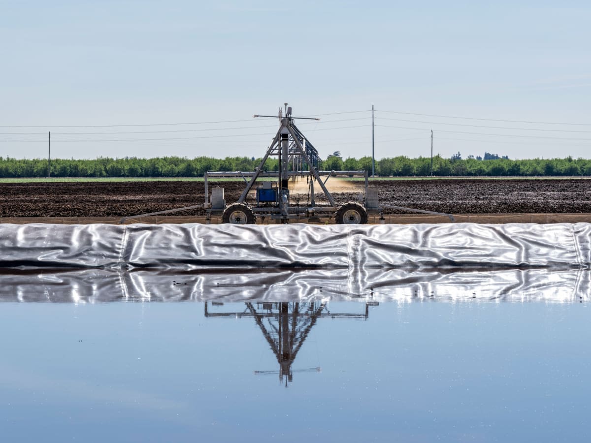 California Dairy Farms Use Worms to Cut Methane by 40% - Image 5