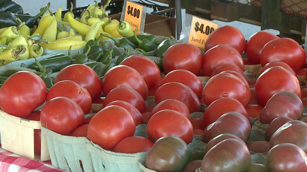 Freed Hardeman Lions Win Second NAIA Championship in 3 Years - Image 3