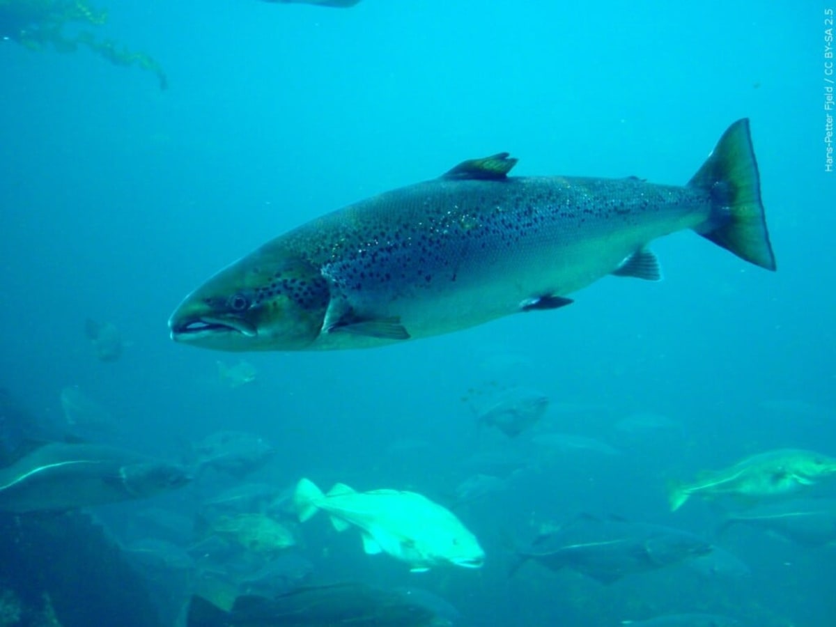 Mars Rover Discovers 20+ Life Building Blocks in First - Image 4