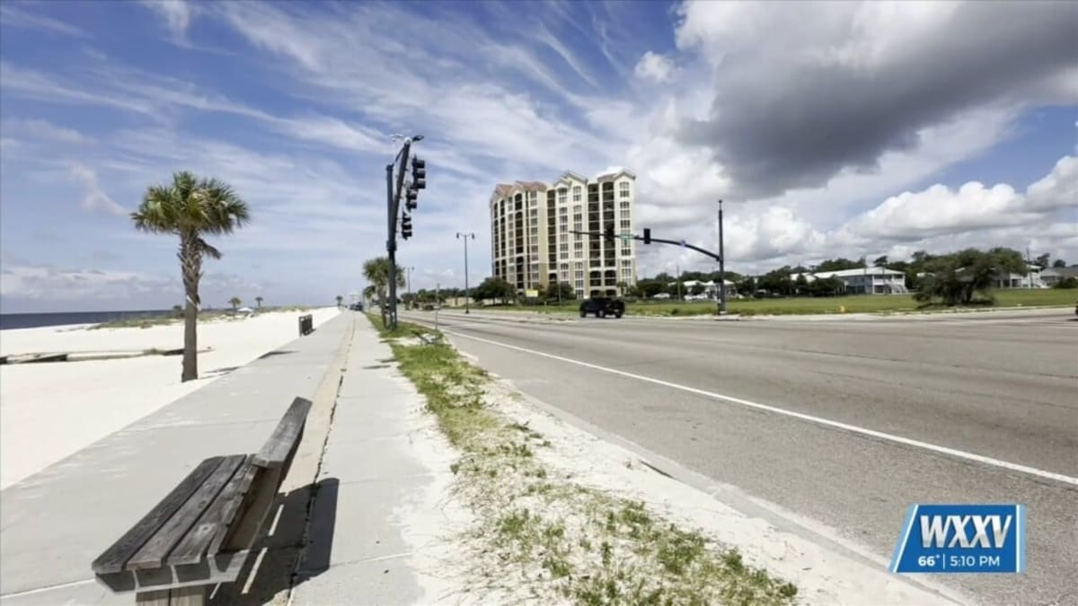 Gulfport Volunteers Plant Trees to Green the Community - Image 3