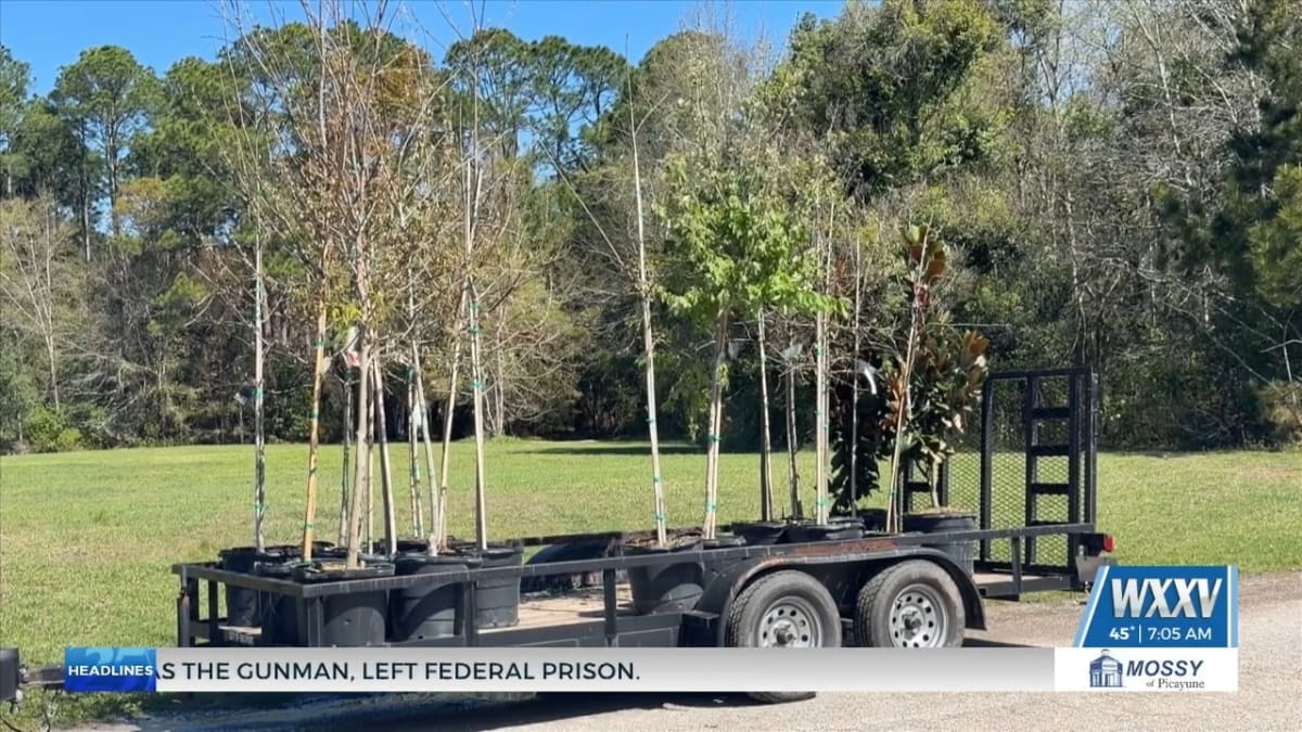 Volunteers planting young trees together at Brickyard Bayou Park in Gulfport, Mississippi