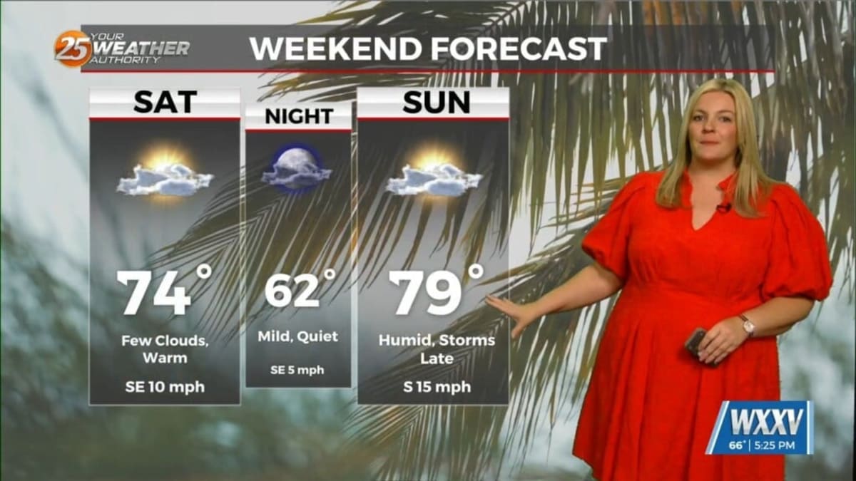 Gulfport Volunteers Plant Trees to Green the Community - Image 5