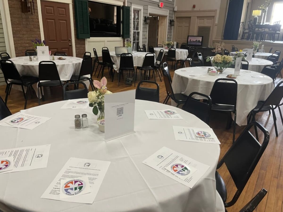 Ohio Volunteers Run No-Kill Shelter With No Building - Image 2