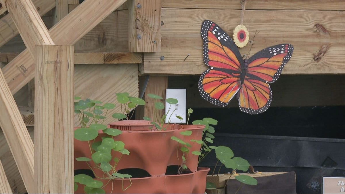 ** Volunteers gathering at Unity Gardens in South Bend for Earth Day celebration with green plants