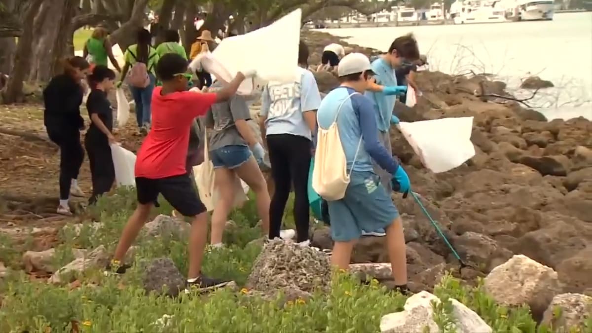 Volunteers collecting trash and debris along Biscayne Bay shoreline during annual cleanup event