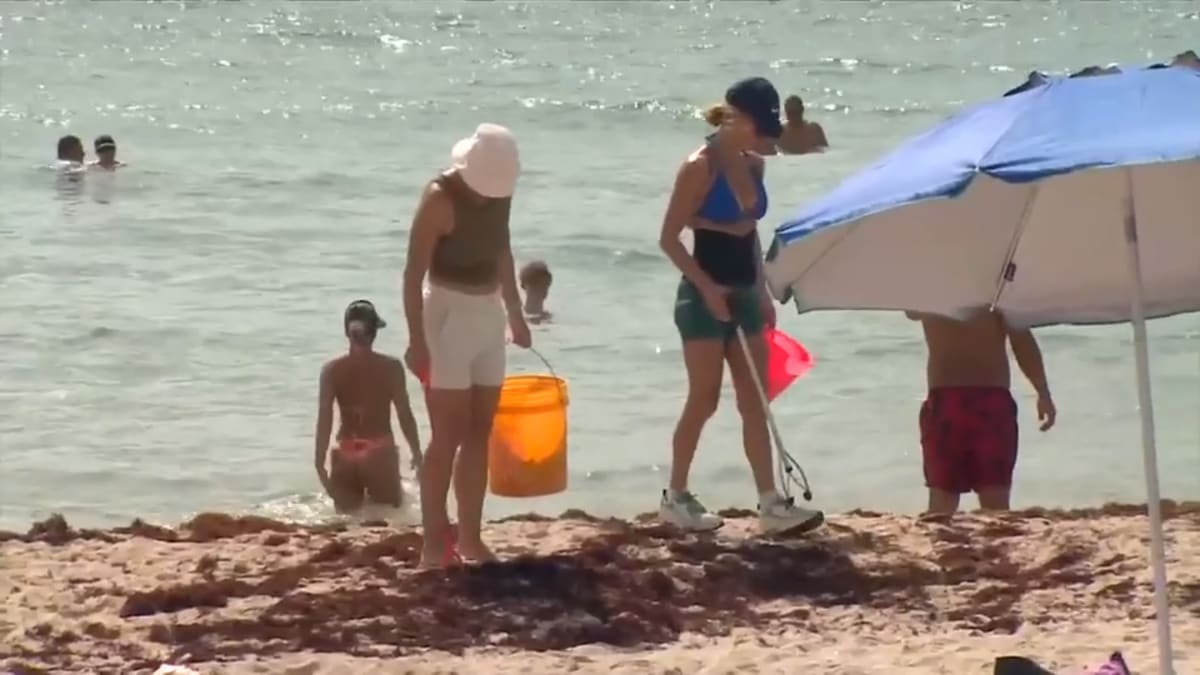 Volunteers in bright vests collecting trash and litter along Miami Beach shoreline during community cleanup