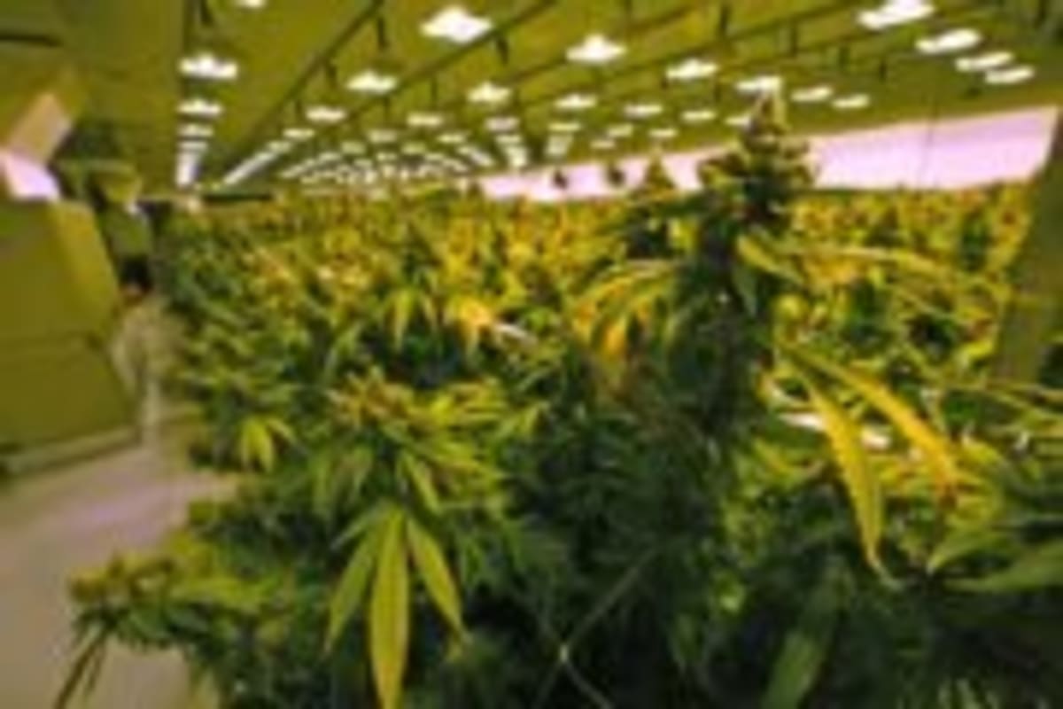 North Korea Women Return to World Cup After 15 Years - Image 3