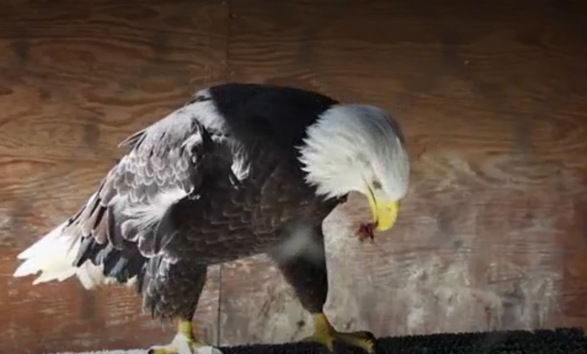 Ogden Volunteers Donate 8,000 Hours to Nature Center