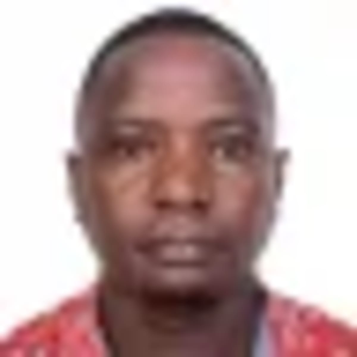Tanzania Bishops Push for Healing After Disputed Election - Image 2