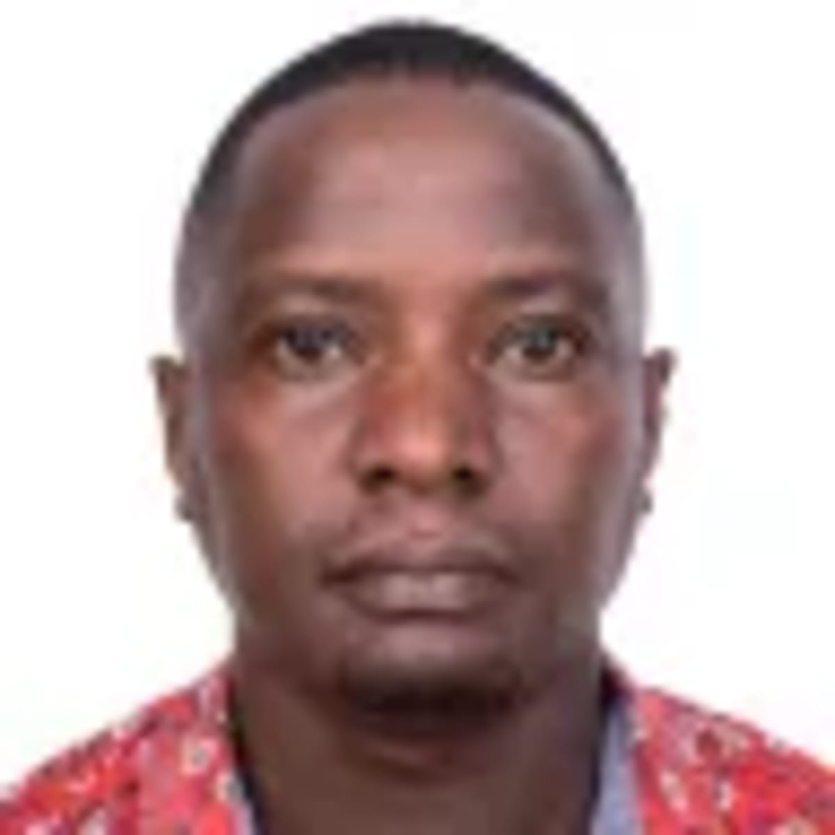 Tanzania Bishops Push for Healing After Disputed Election - Image 4