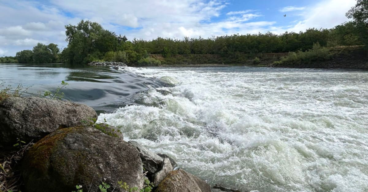 California Invests $80M in Salmon Recovery and Wildlife - Image 5