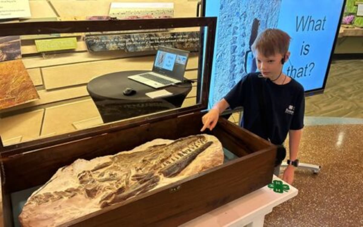 12-Year-Old Finds 85-Million-Year-Old Tylosaurus in Kansas - Image 2
