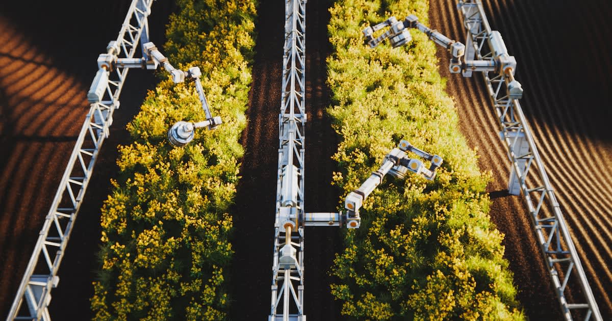 Robotic arms and AI technology being adapted for agricultural food production innovation