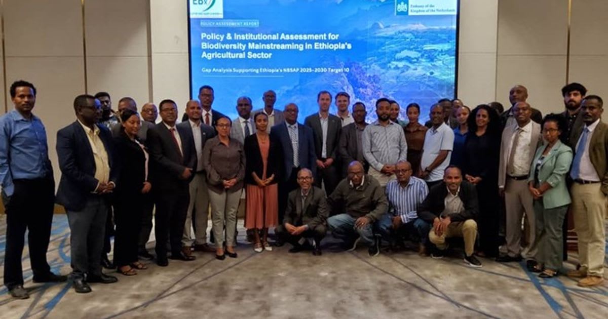 Ethiopian farmers and scientists collaborating in workshop discussing sustainable agriculture and biodiversity conservation