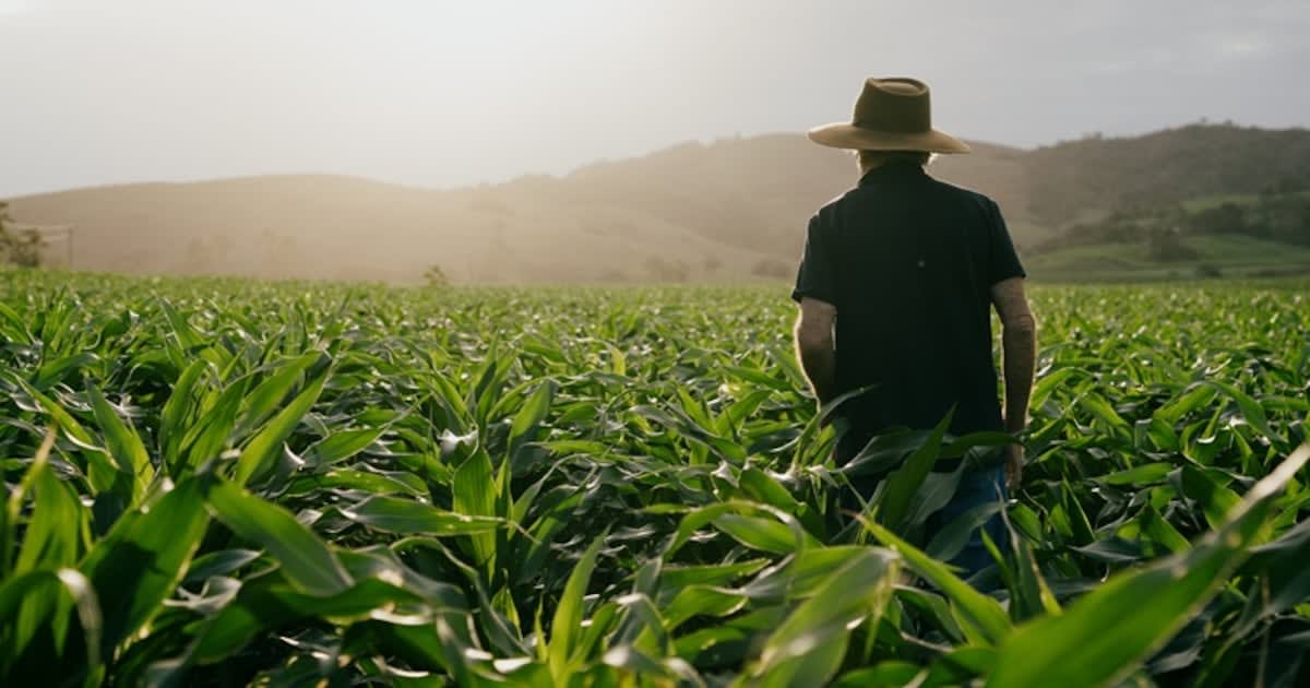 Brazil's Farms Hit Record $169B in Exports