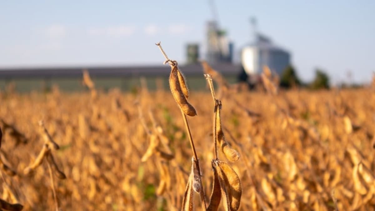 Brazil's $1B Biological Farming Boom Attracts Global Money - Image 5