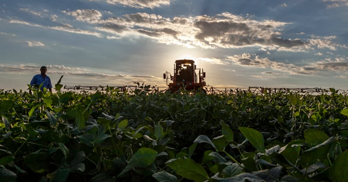 Brazil's $1B Biological Farming Boom Attracts Global Money