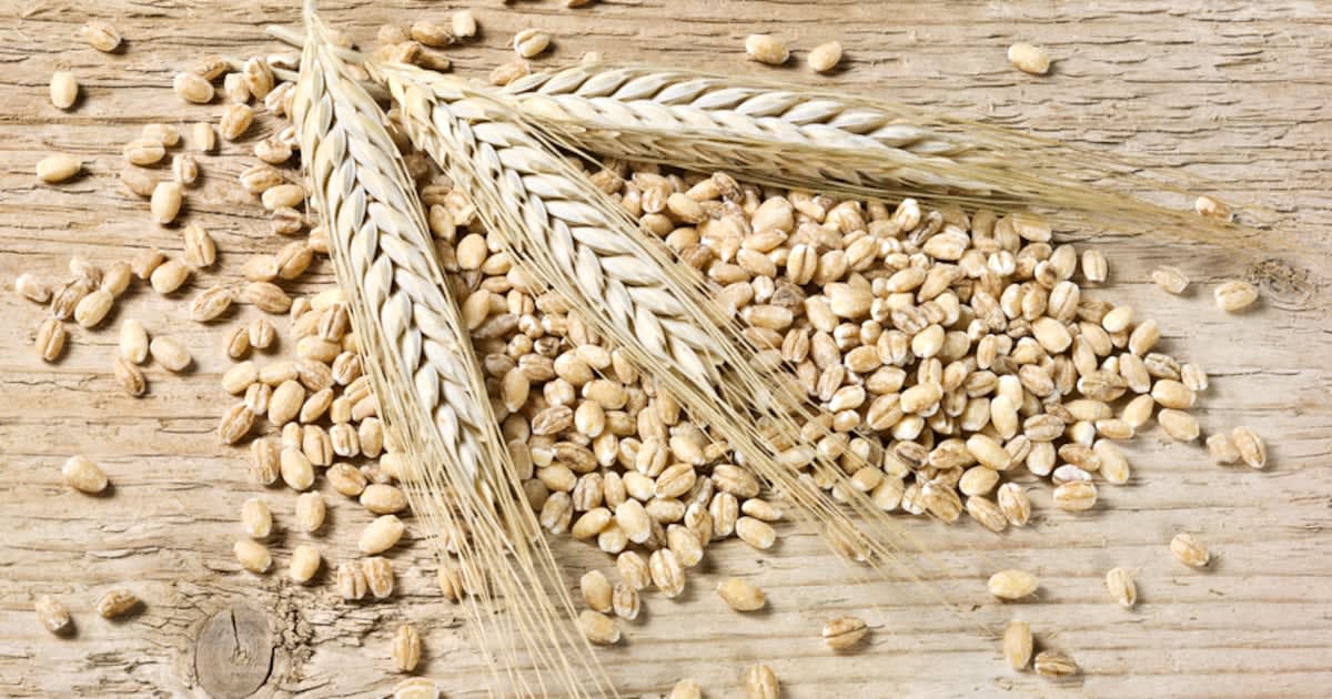 Japan Beer Firm Cuts Emissions 50% With Soil Innovation