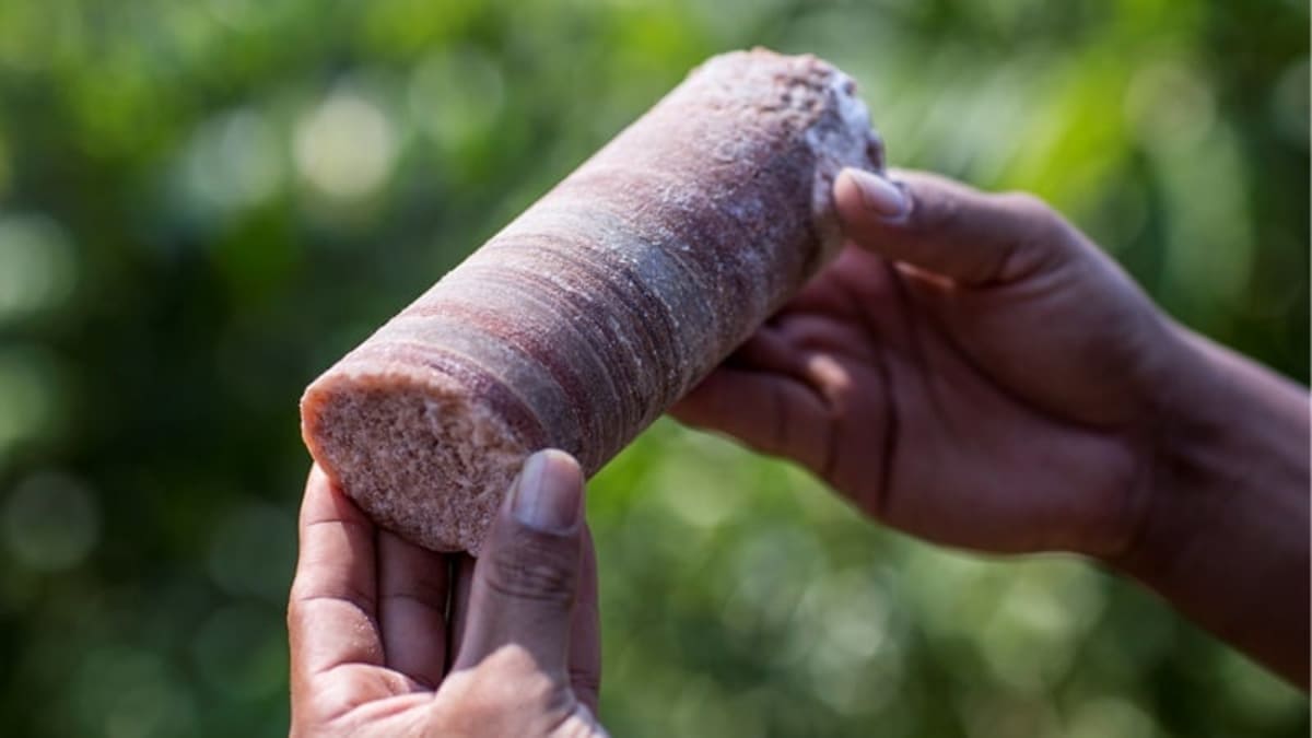 Brazil's Farms Hit Record $169B in Exports - Image 5