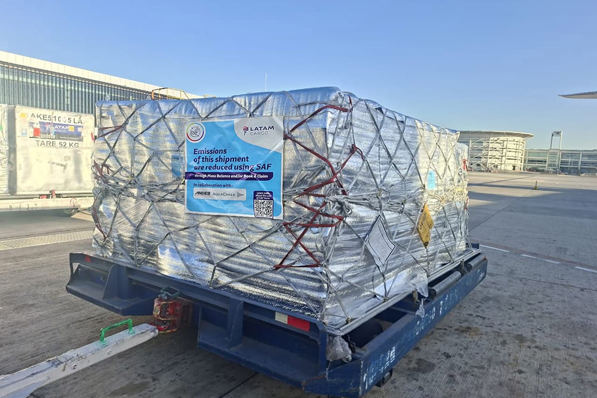 Chile Cuts Air Cargo Emissions 10% with Salmon Flight - Image 3
