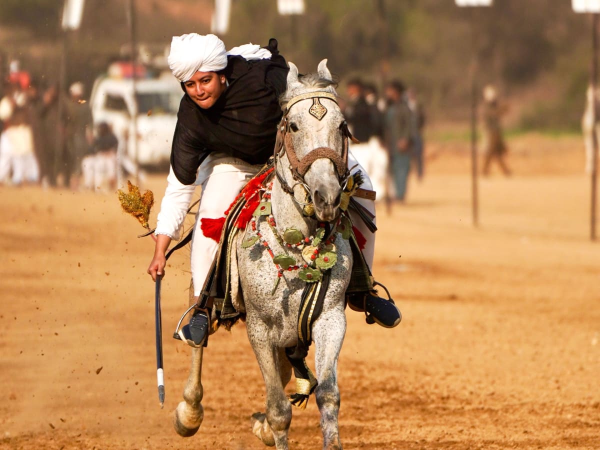 ** Female rider in black shawl galloping on horseback with lance extended during tent pegging competition