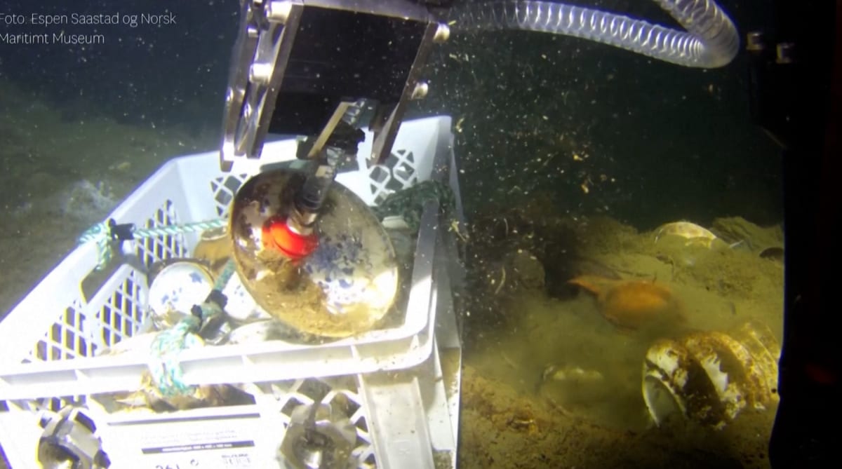 Delicate blue and white Chinese porcelain bowls recovered from 18th-century Norwegian shipwreck